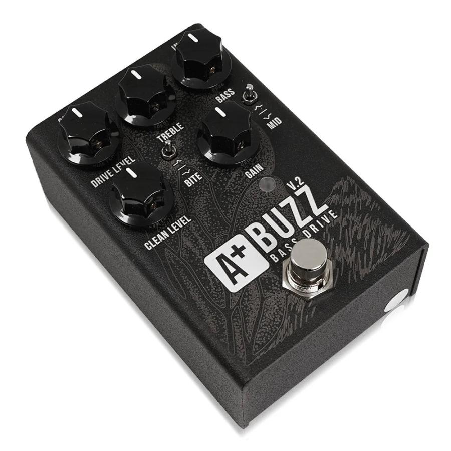 Shift Line Buzz V2 ベース用エフェクター : chuya-online チューヤ