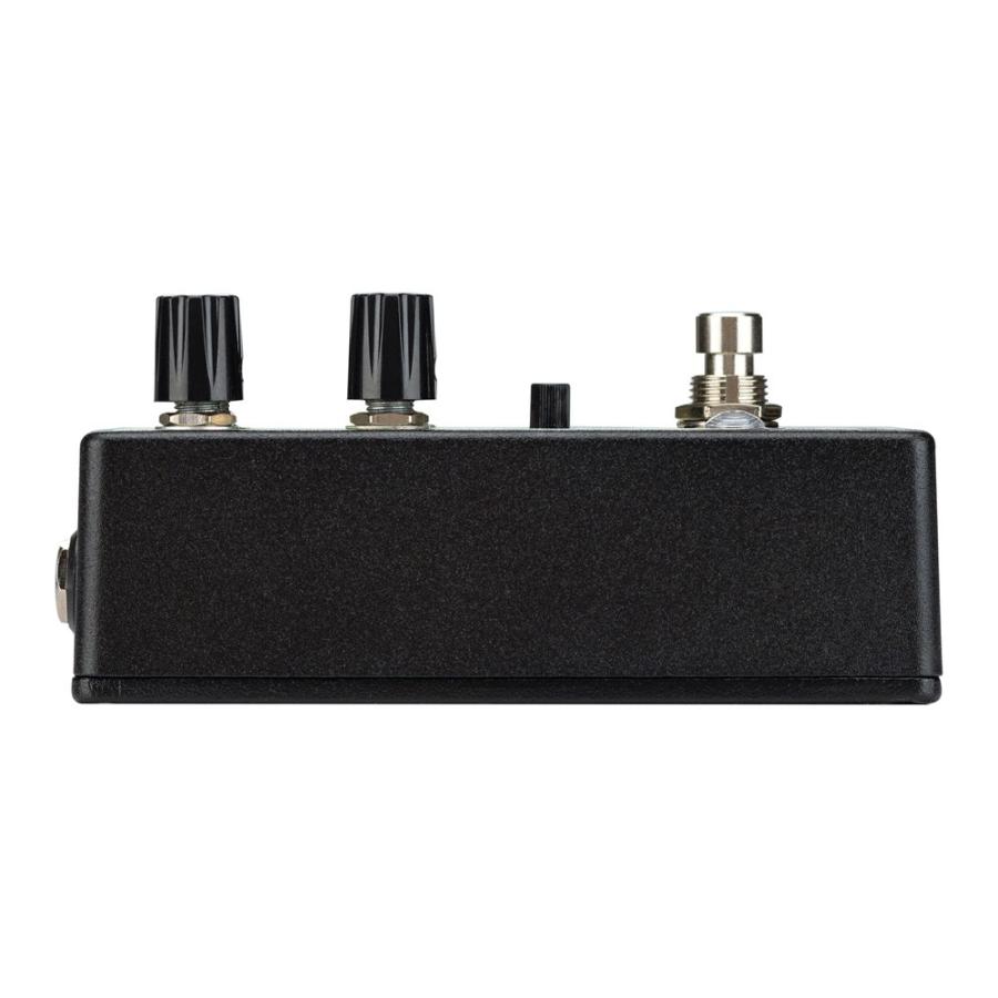 EarthQuaker Devices アースクエイカーデバイセス EQD Afterneath V3