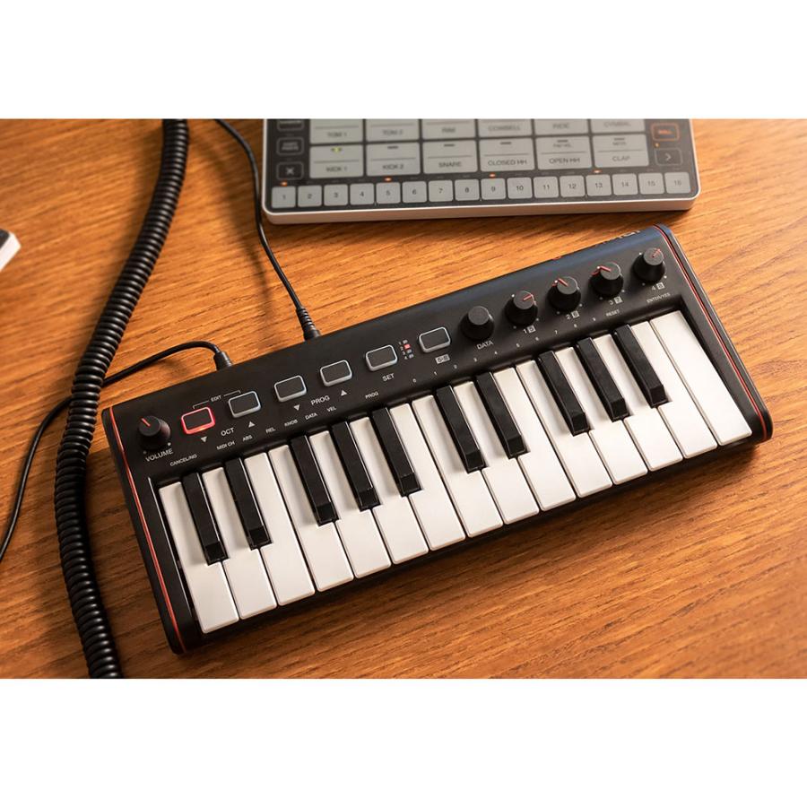 IK Multimedia iRig Keys 2 Mini ベロシティー対応 25鍵 MIDI
