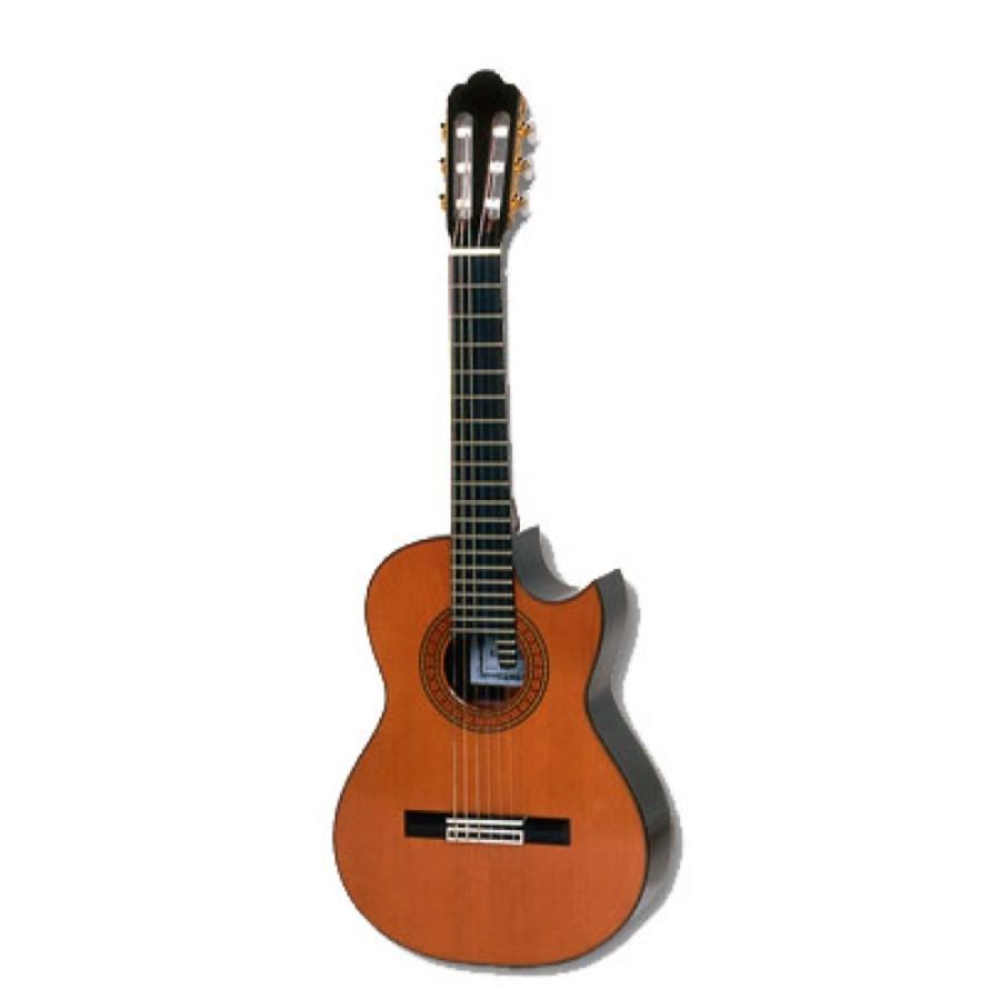 ASTURIAS モデルNo A8 クラッシックギター Asturias Model N A8 Japan (PRE-OWNED) – Guitar HAUS