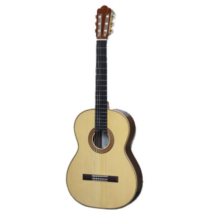 アストリアス クラシックギター Tsuji S-2 S 650mmスケールタイプ ASTURIAS
