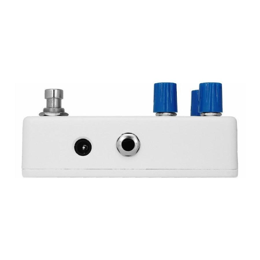 Animals Pedal Surfing Polar Bear Bass OverDrive Mod by BJF