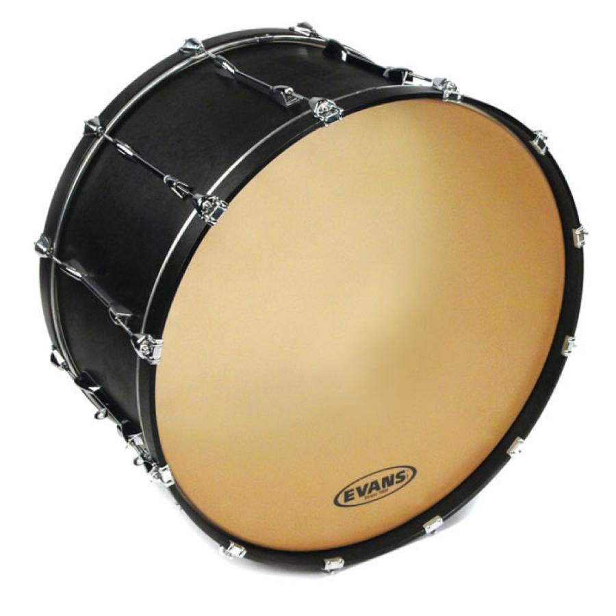 CB3210S 32" Strata 1000 Concert Bass Head コンサートバスヘッド 【スキン】