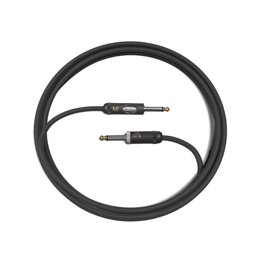 Planet Waves by D'Addario PW-AMSK-10 3.04m SS インストゥルメント用遮蔽物有線テレビ
