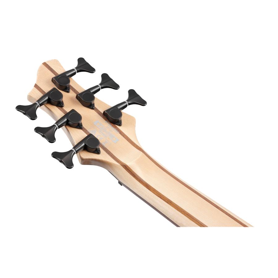 Ibanez（アイバニーズ） 6弦 ベース BTB866SC-WKL BTBシリーズ ワーク