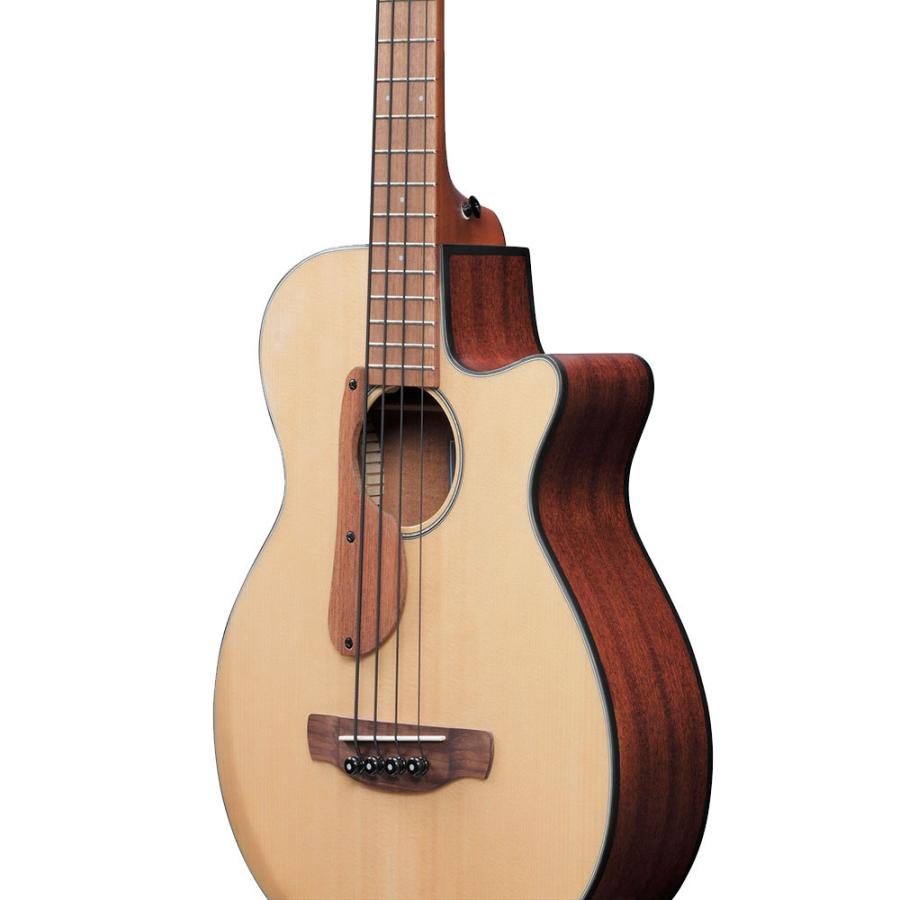 Ibanez アイバニーズ ベース エレアコ AEGB30E-NTG