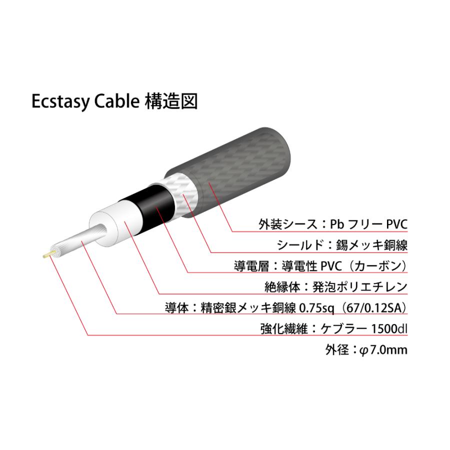 NEO by OYAIDE Elec Ecstasy Cable LS/3.0 ギターケーブル_1
