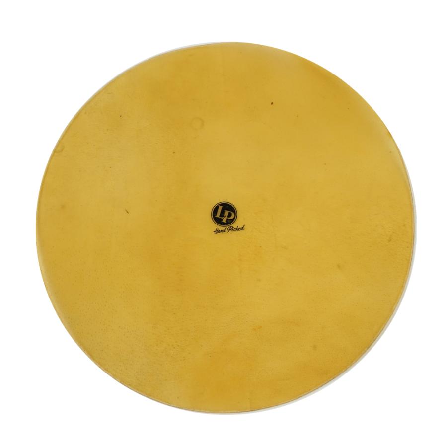 LP PatatoModel Conga キント ホワイト最終モデル 保管美品 LP