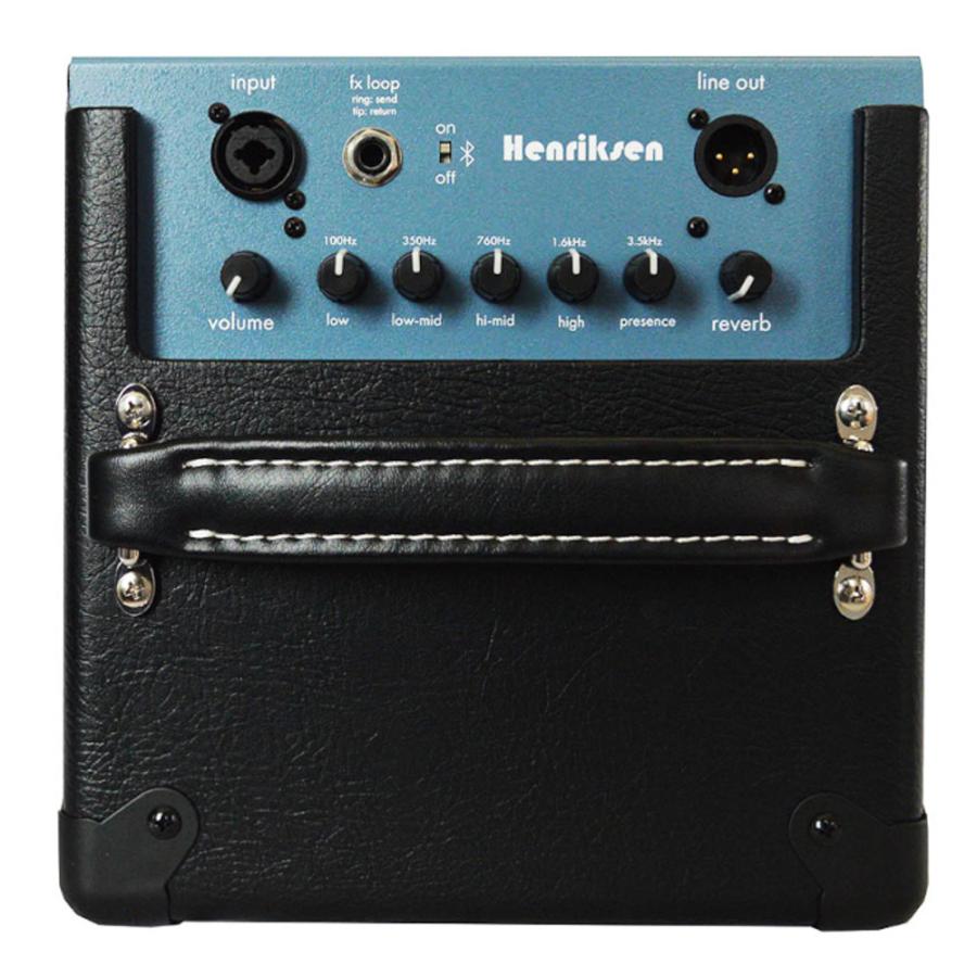 Henriksen Amplifiers The Blu SIX 6インチスピーカー搭載 小型