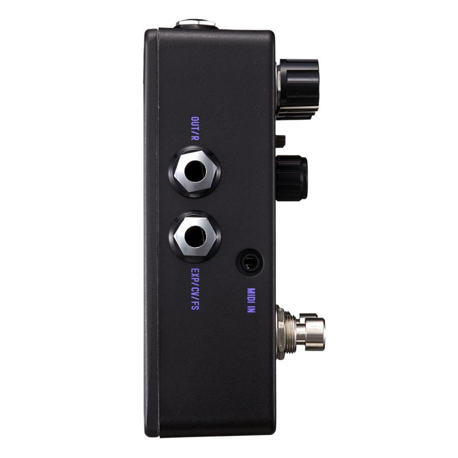 Free The Tone Cosmic Wave CW-1Y Multiple filtering delay ディレイ