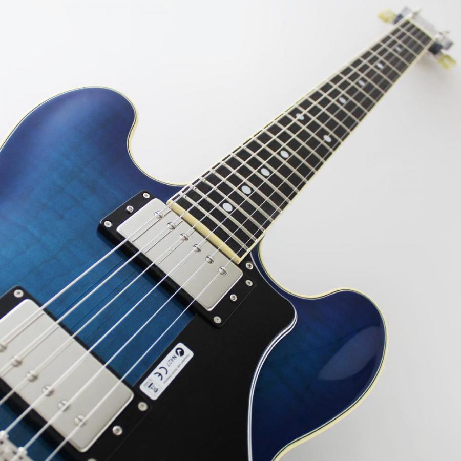 FUJIGEN（フジゲン） FUJIGEN MSA-HP/BBT Masterfield MSA セミアコ