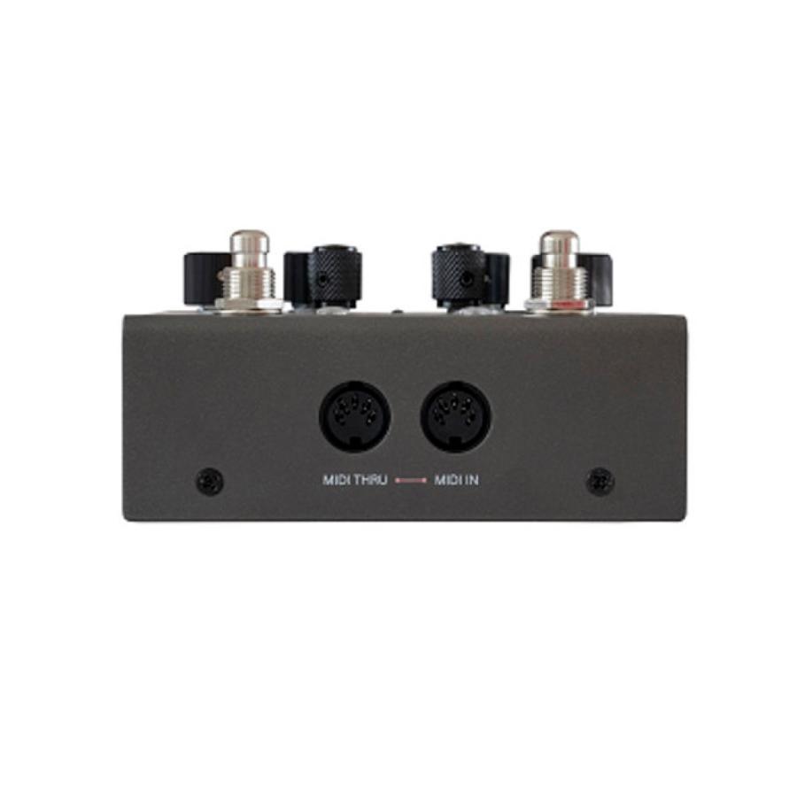 SYNESTHESIA ギターエフェクター gfi system GFI SYSTEM SYNESTHESIA (シネシージア) モジュレーション ギター