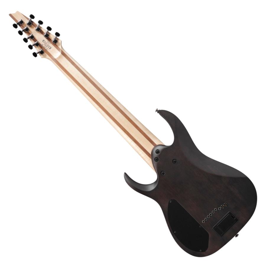 Ibanez（アイバニーズ） ギター 9弦ギター RG9PB-TGF Axe Design Lab