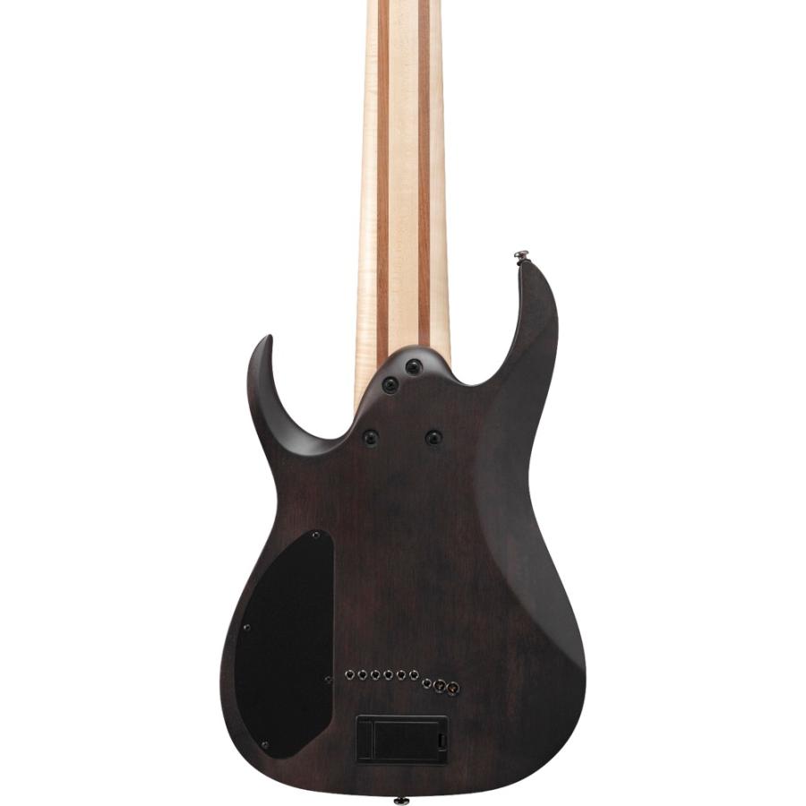 Ibanez（アイバニーズ） ギター 9弦ギター RG9PB-TGF Axe Design Lab