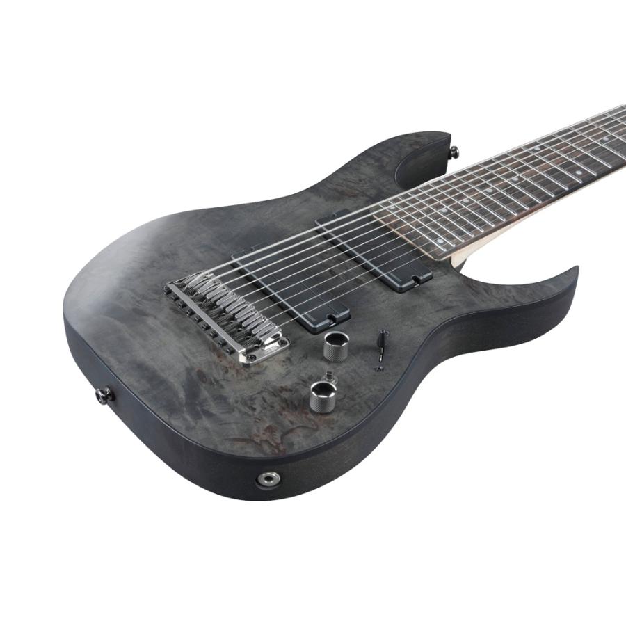 Ibanez（アイバニーズ） ギター 9弦ギター RG9PB-TGF Axe Design Lab