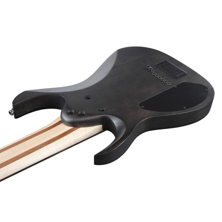 Ibanez（アイバニーズ） ギター 9弦ギター RG9PB-TGF Axe Design Lab