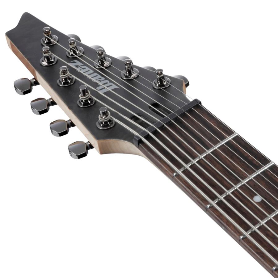 Ibanez（アイバニーズ） ギター 9弦ギター RG9PB-TGF Axe Design Lab