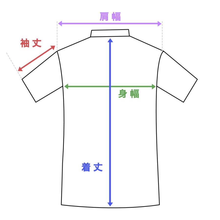 アイバニーズ グッズ Tシャツ IBAT012XL Paul Gilbertデザイン ポール