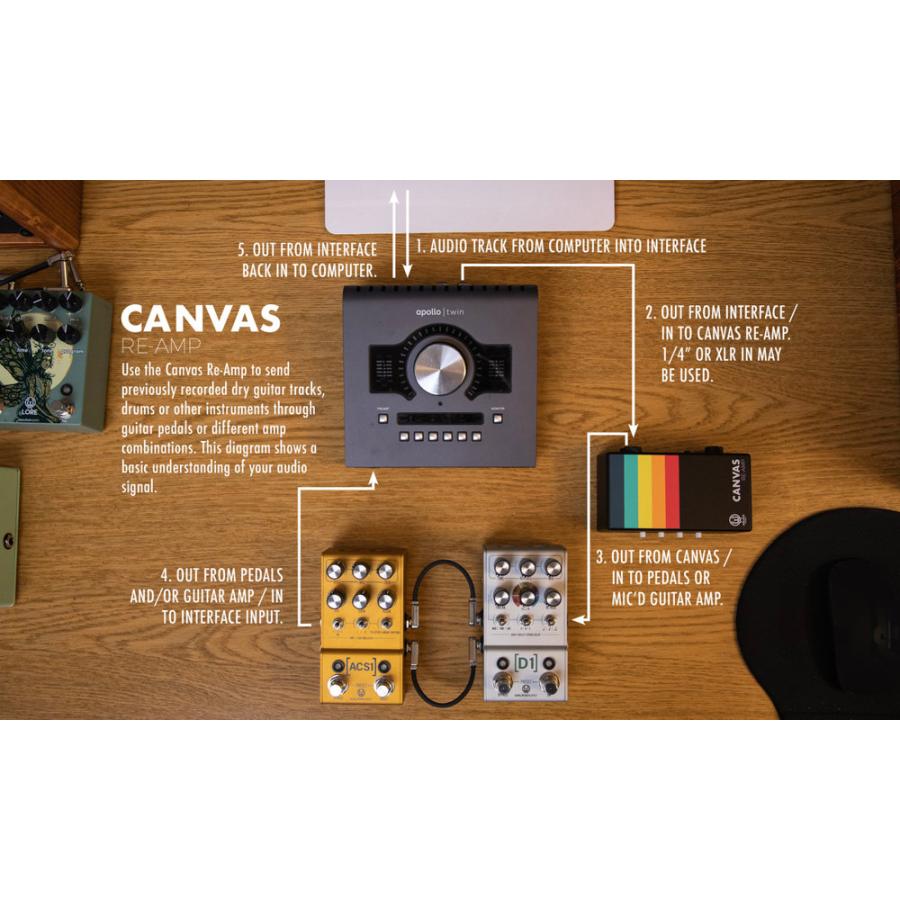 WALRUS AUDIO ウォルラスオーディオ WAL-CANV/RE Canvas Passive Re