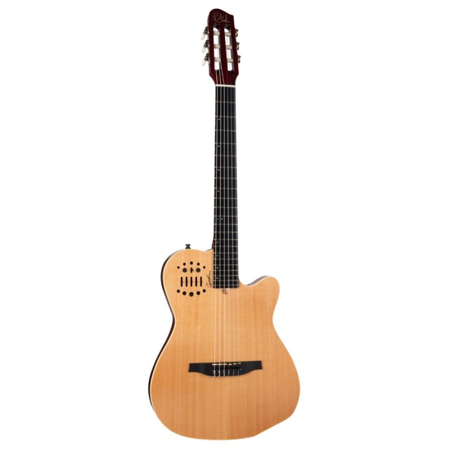 Godin ゴダン ACS Nylon Natural SG ナイロン弦 エレガットギターの画像