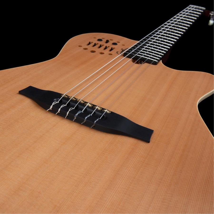 Godin ゴダン ACS Nylon Natural SG ナイロン弦 エレガットギターの画像