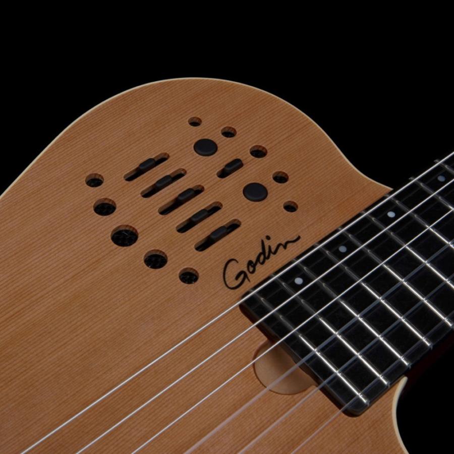 Godin ゴダン ACS Nylon Natural SG ナイロン弦 エレガットギターの画像