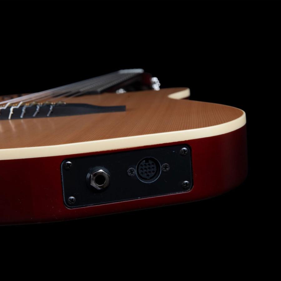 Godin ゴダン ACS Nylon Natural SG ナイロン弦 エレガットギターの画像