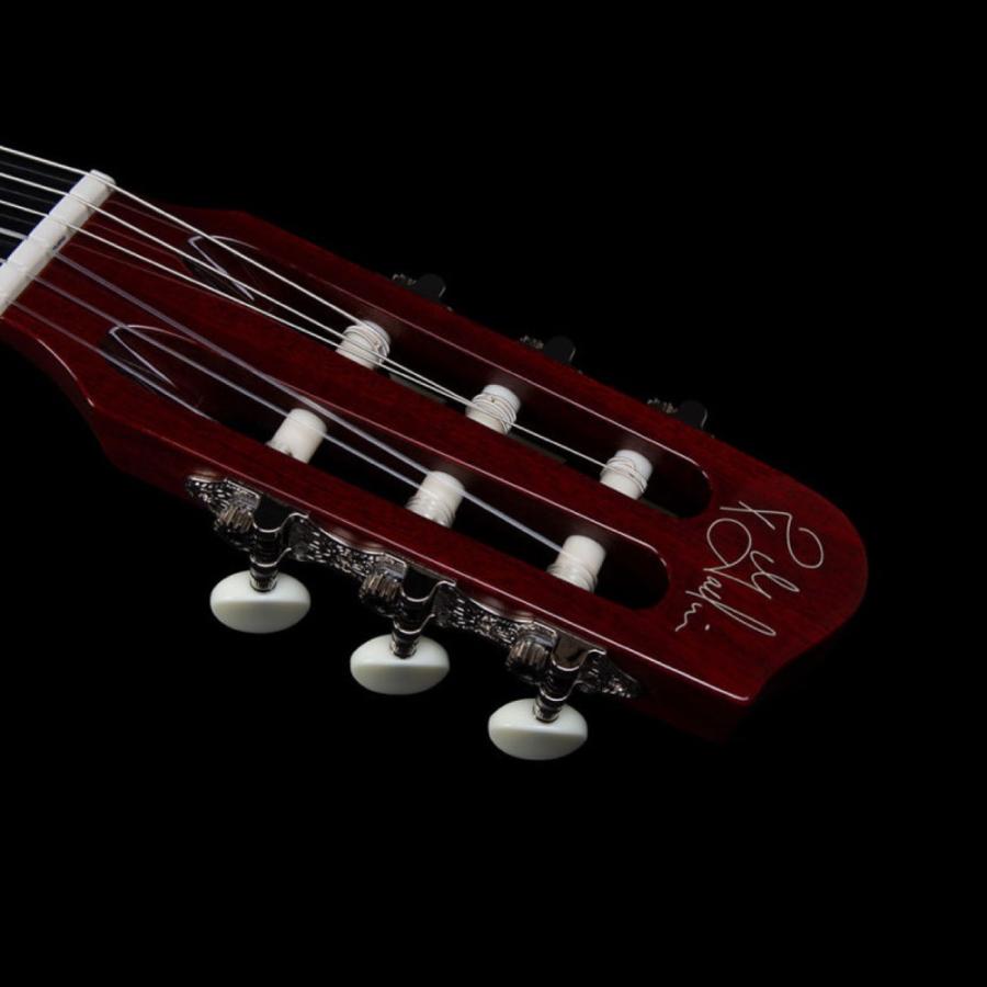 Godin ゴダン ACS Nylon Natural SG ナイロン弦 エレガットギターの画像