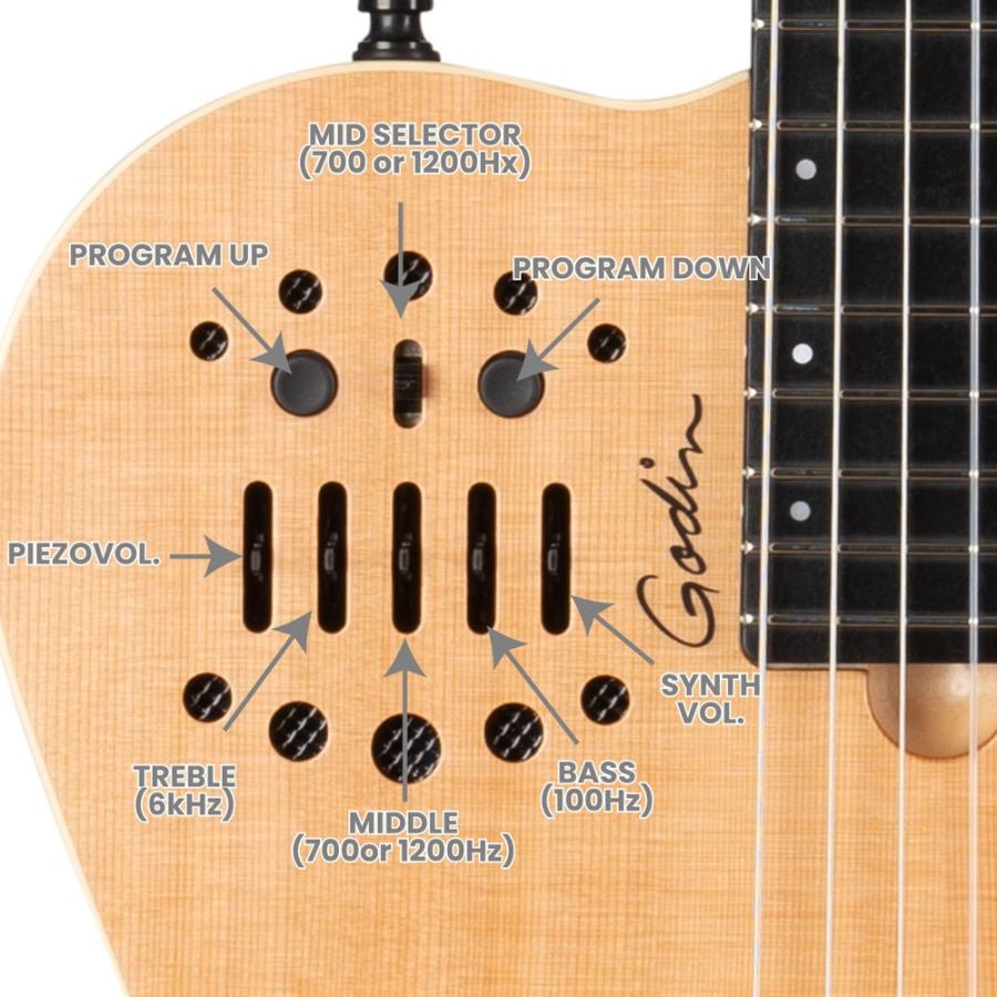Godin ゴダン ACS Nylon Natural SG ナイロン弦 エレガットギターの画像