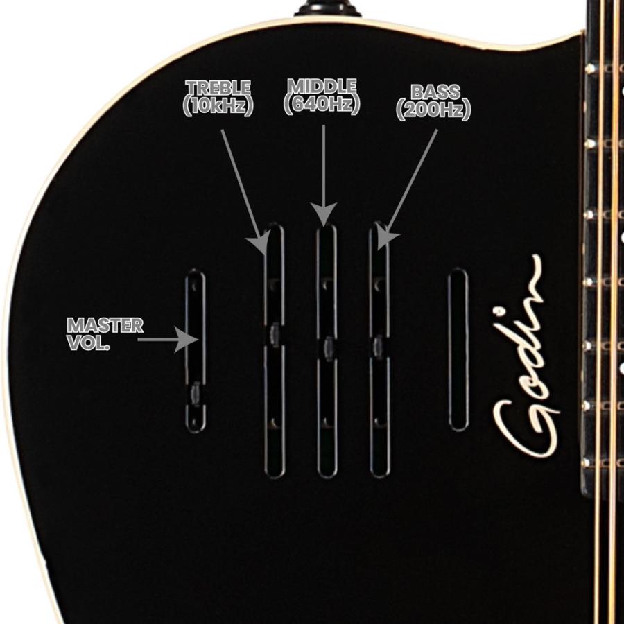 Godin ゴダン A12 Black HG 12弦 エレクトリックアコースティックギターの画像