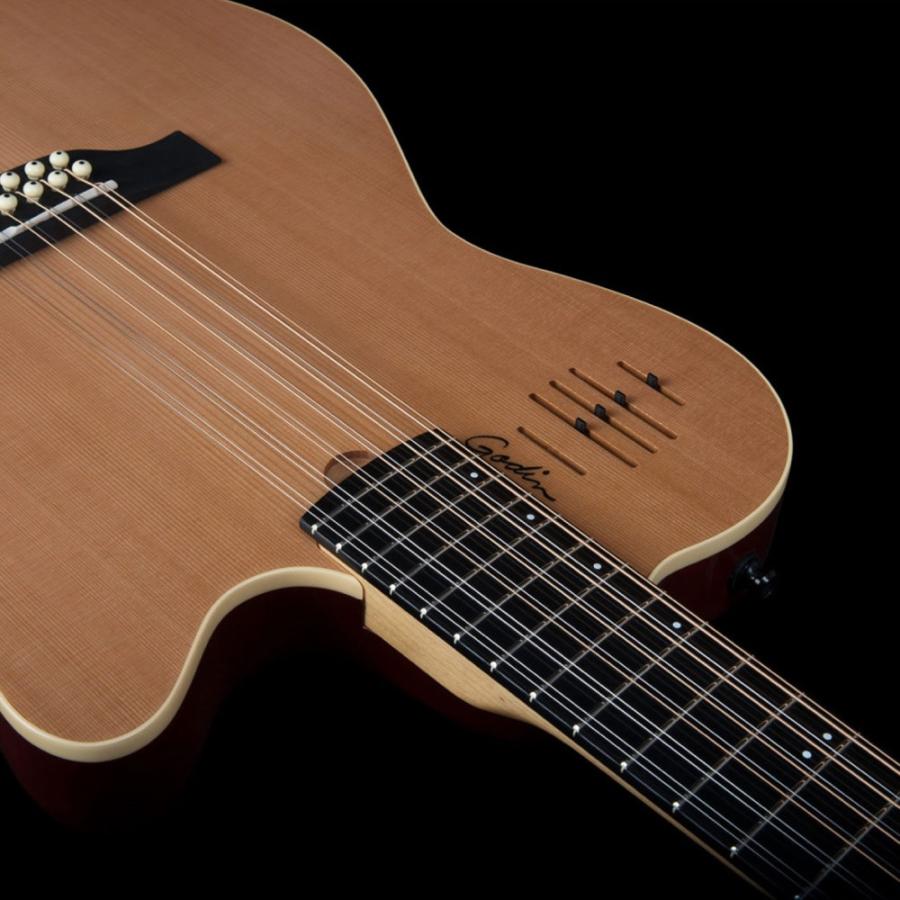 Godin ゴダン A12 Natural SG 12弦 エレクトリックアコースティック