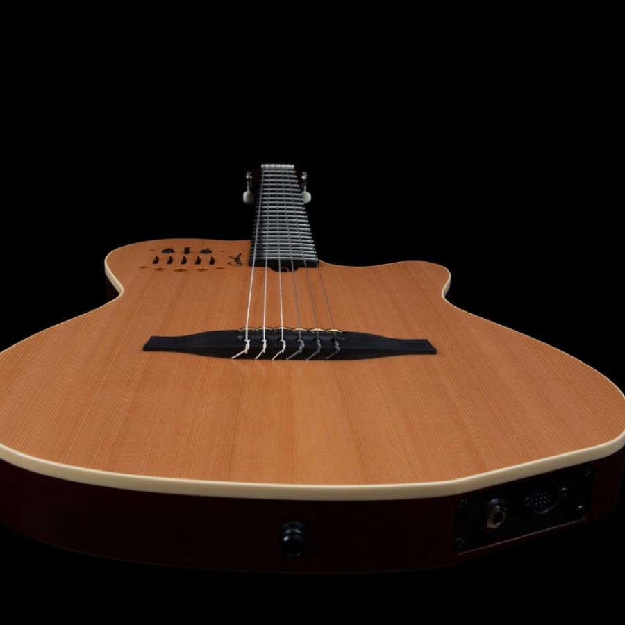 Godin ゴダン ACS SLIM Nylon Natural SG エレガットギターの画像