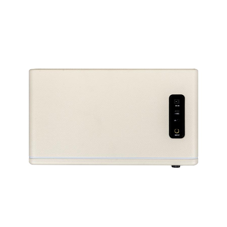 Mooer ムーアー Hornet 30i White ギターアンプ デジタルモデリングアンプ エレキギター アンプ_2