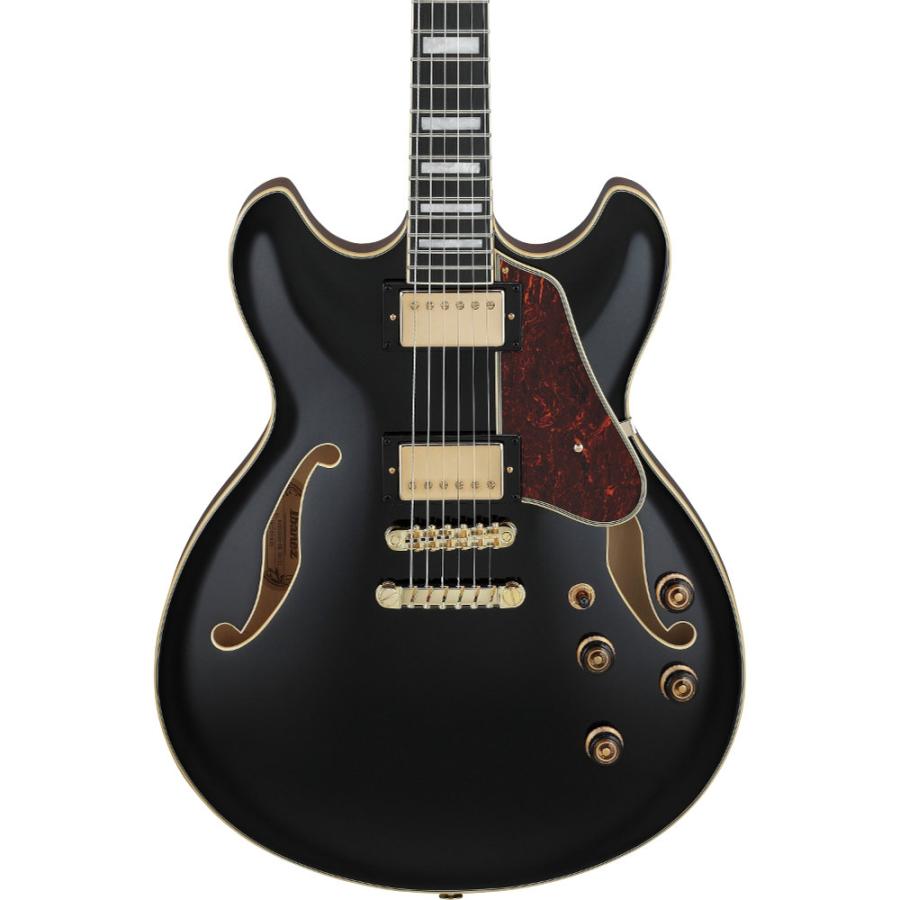 Ibanez（アイバニーズ） ギター セミアコ Artcore Expressionist