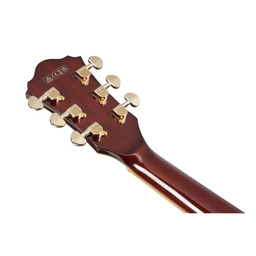 Ibanez アイバニーズ ギター セミアコ Artcore Expressionist AS93BC 