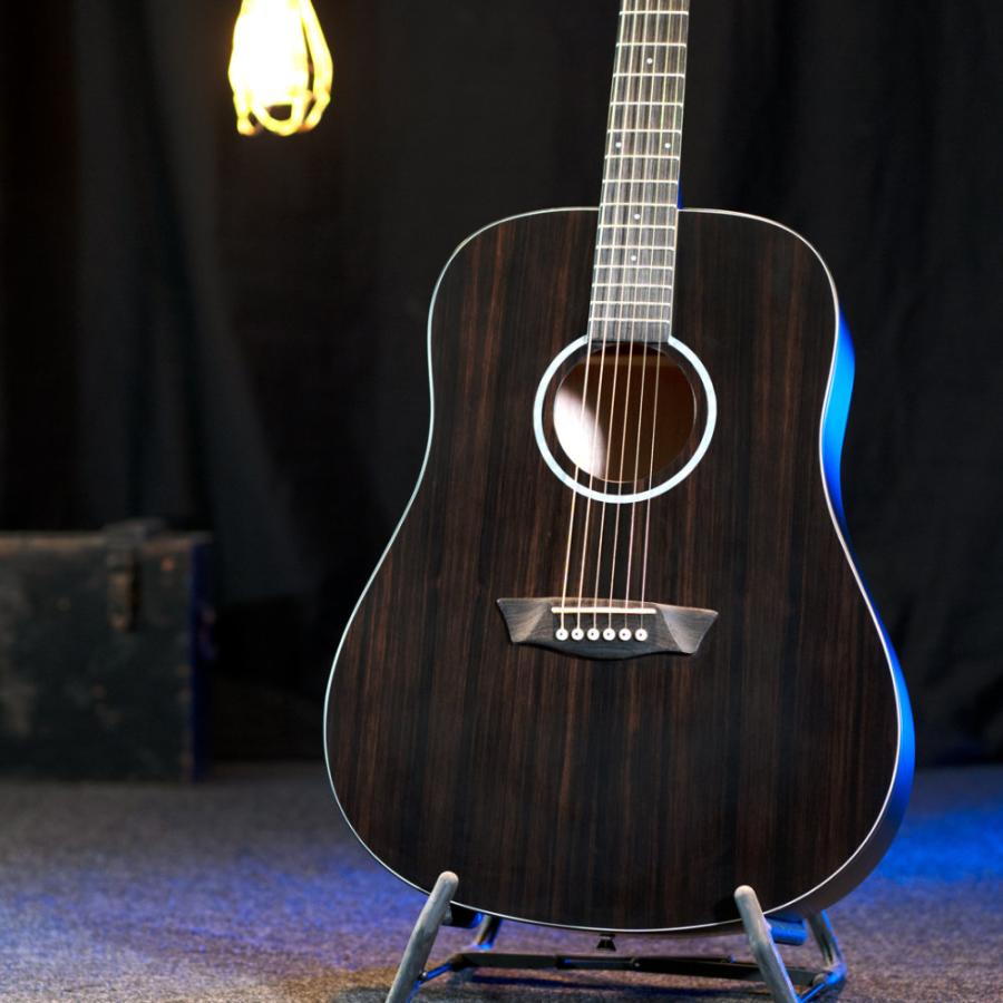 Washburn ワッシュバーン DFED-U EBONY D アコースティックギター_1