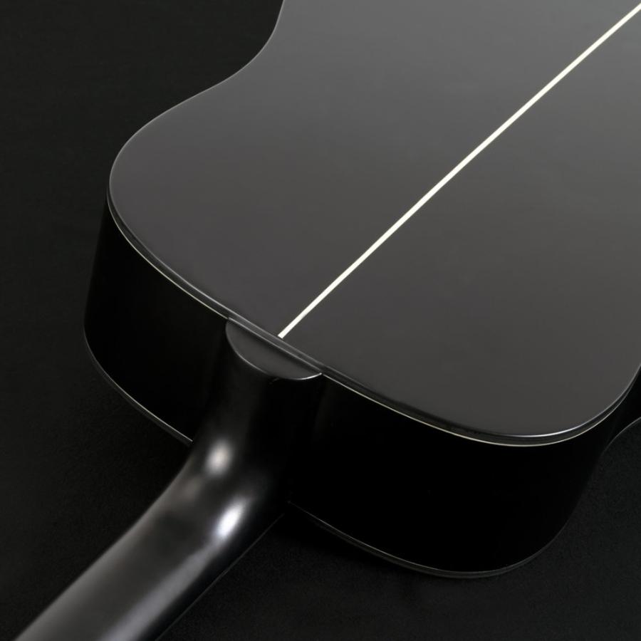 Washburn ワッシュバーン DFED-U EBONY D アコースティックギター_2