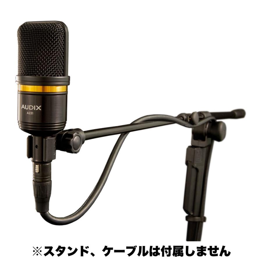 AUDIX オーディックス A231 コンデンサーマイクの画像
