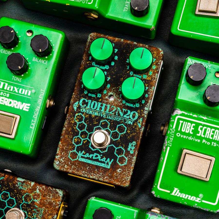 超希少 特大接木苗木！ボリビアンマンゴスチン アチャチャイル 結果