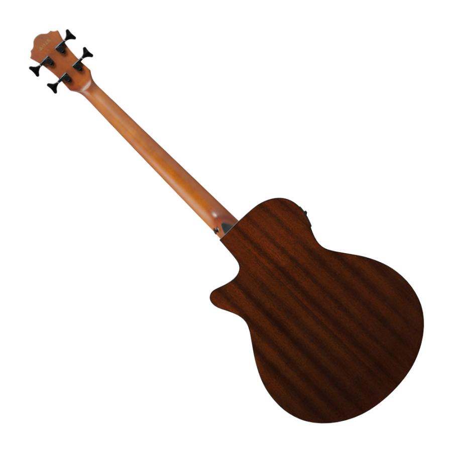 Ibanez（アイバニーズ） ベース エレアコ AEGB24FE-MHS フレットレス