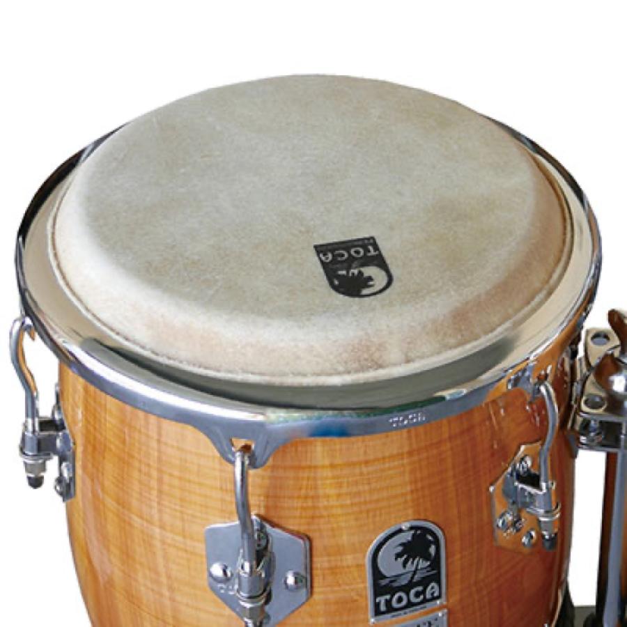 コンガスタンド　トカ Amazon | TOCA 2300N Natural Gloss コンガ スタンド付き