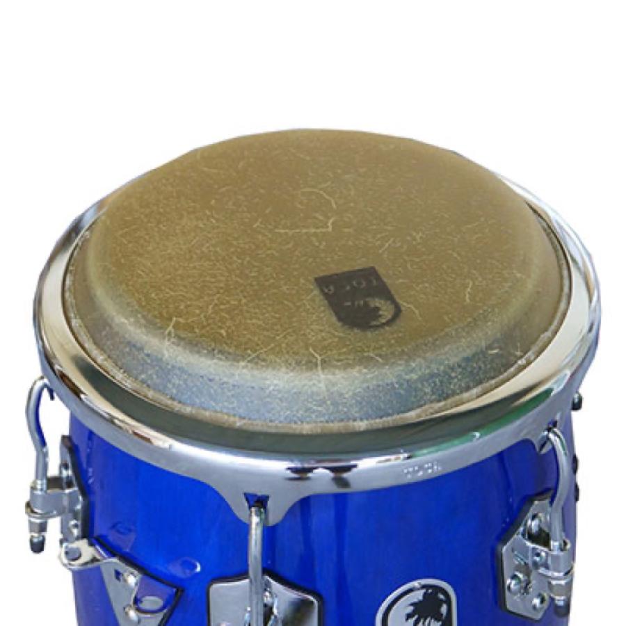 TOCA PERCUSSION TOCA トカ 4611-BW Custom Deluxe 11インチ Blue Wood