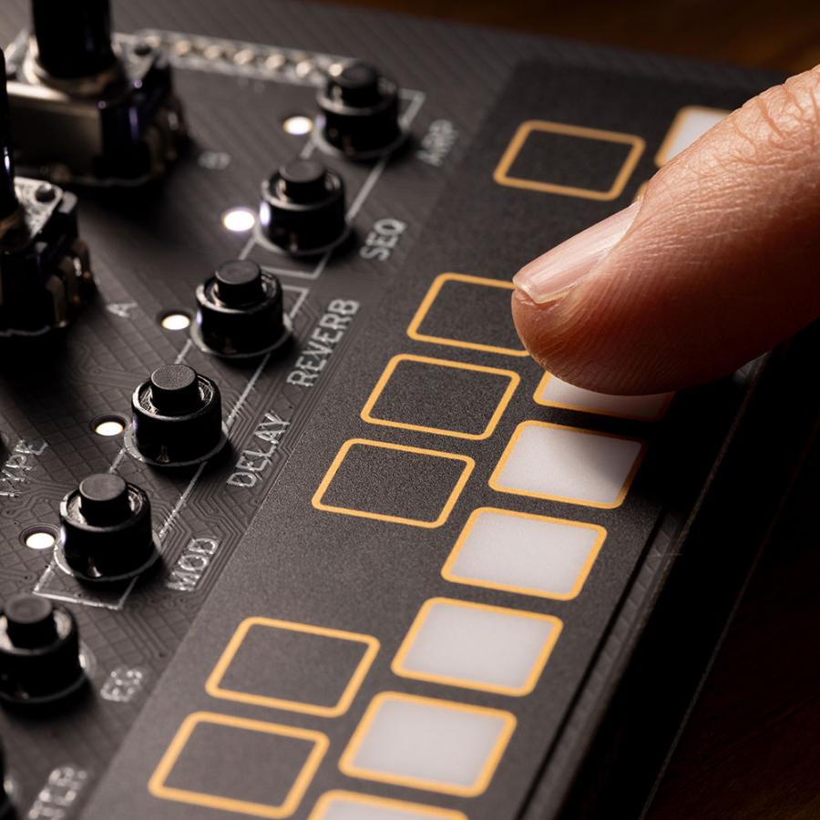 コルグ シンセサイザー 組み立てキット KORG NTS-1 digital Kit mkII