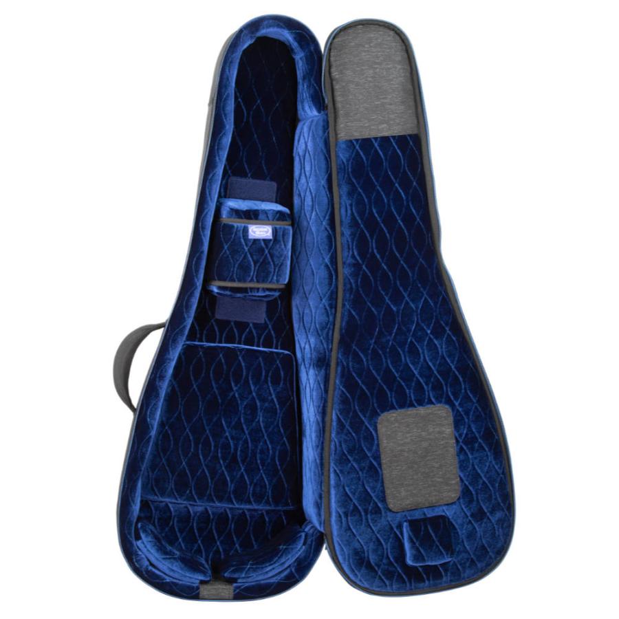 Reunion Blues リユニオンブルース RBC23LP Expedition LP Style