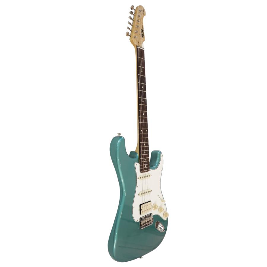 FUJIGEN（フジゲン） エレキギター FUJIGEN FGN NST110RAL OTM SSH