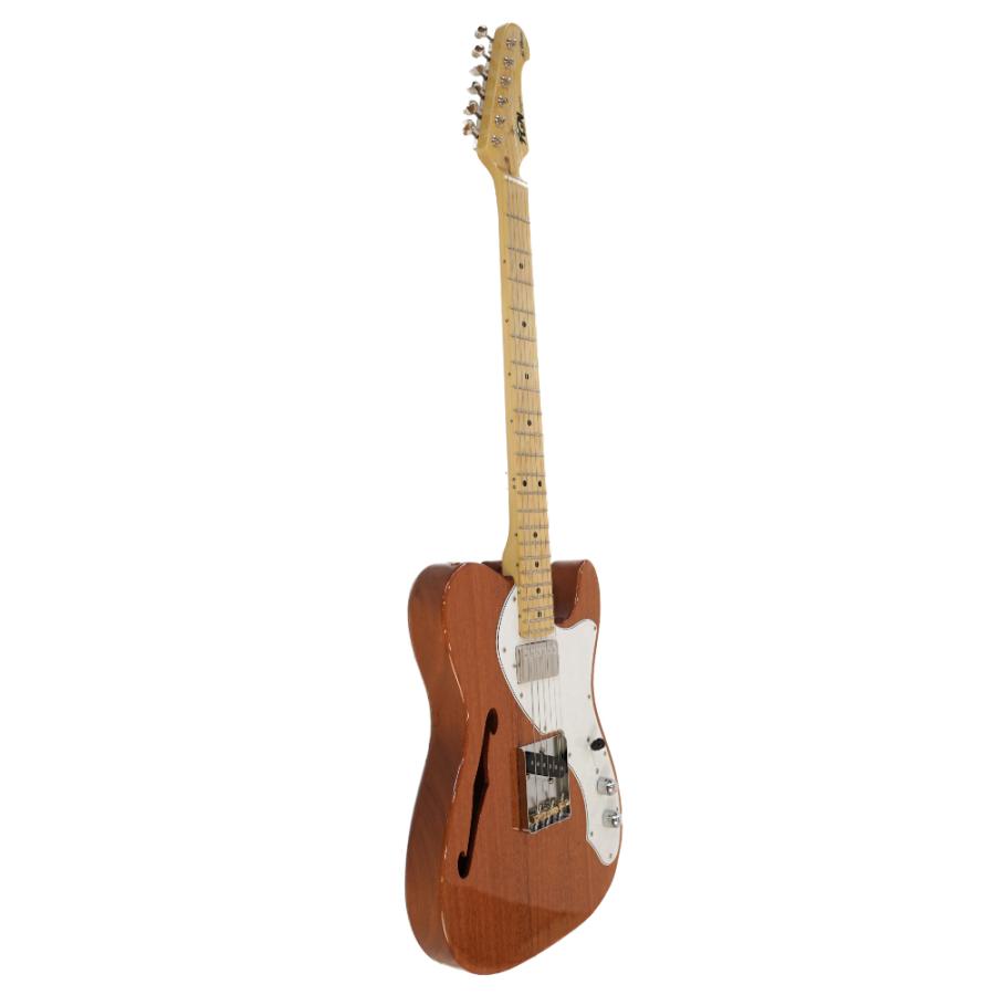 FUJIGEN（フジゲン） エレキギター FUJIGEN FGN NTE110MMHT NT シン