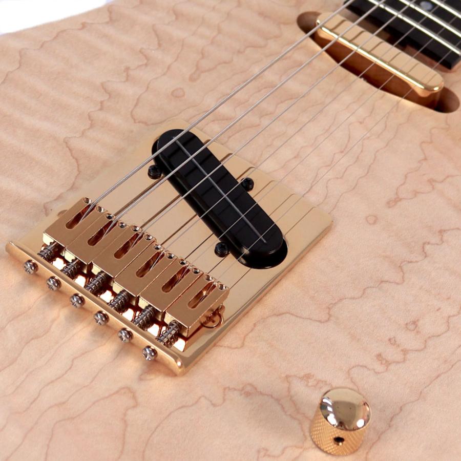 Washburn ワッシュバーン NELEDLX-D-U NELE DELUXE エレキギター