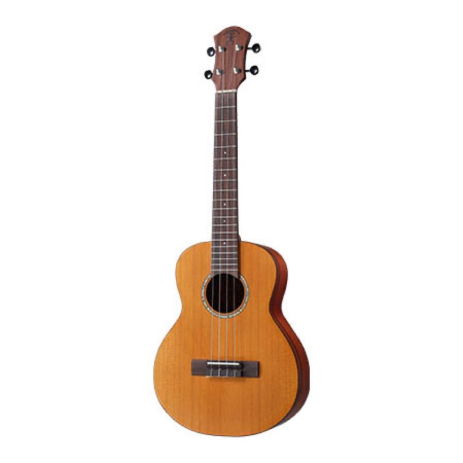 aNueNue aNN-T4 Solid Cedar Top テナーウクレレ シダー単板トップ 