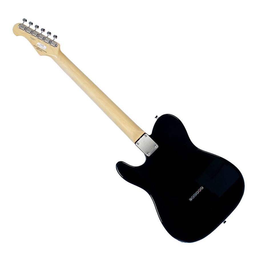 FUJIGEN（フジゲン） FGN Neo Classic NTE100RAL BK テレキャスター