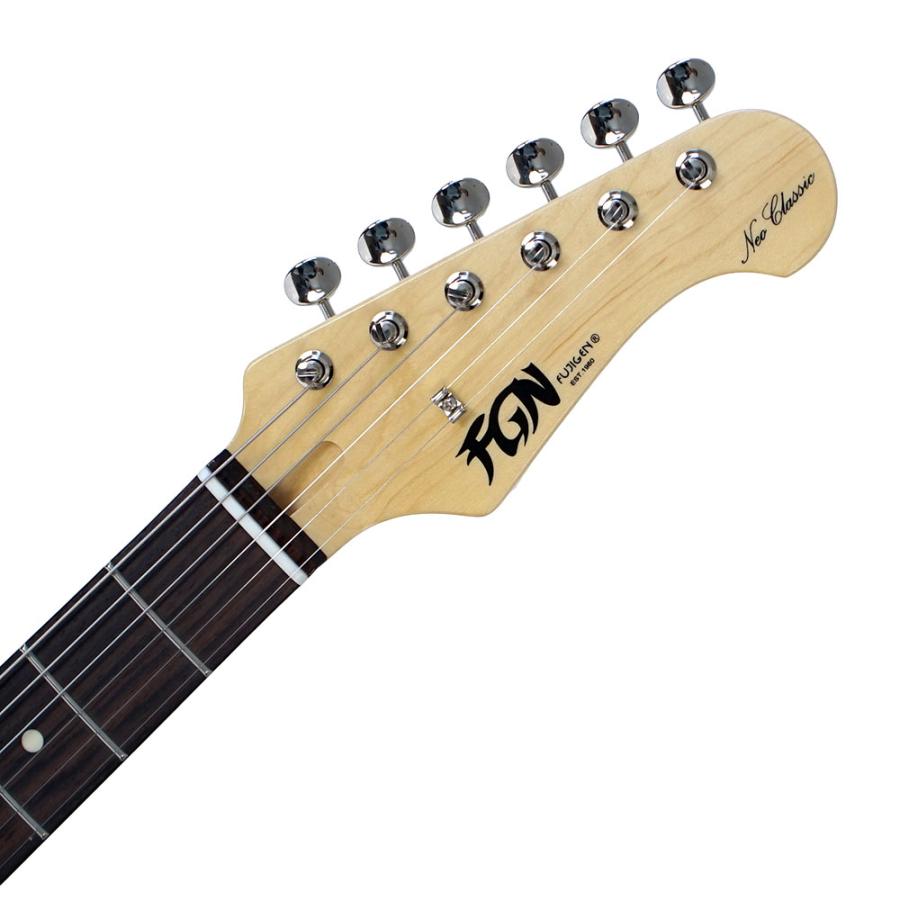 FUJIGEN（フジゲン） FGN Neo Classic NTE100RAL BK テレキャスター